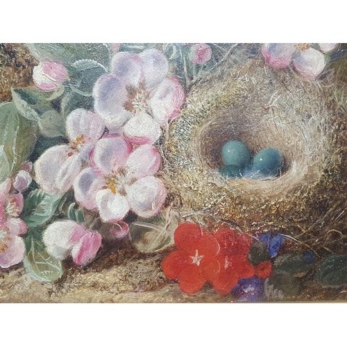 24 - A George Clare (1835-1890) oil on canvas depicting still life study of fauna and birds nest signed t... 