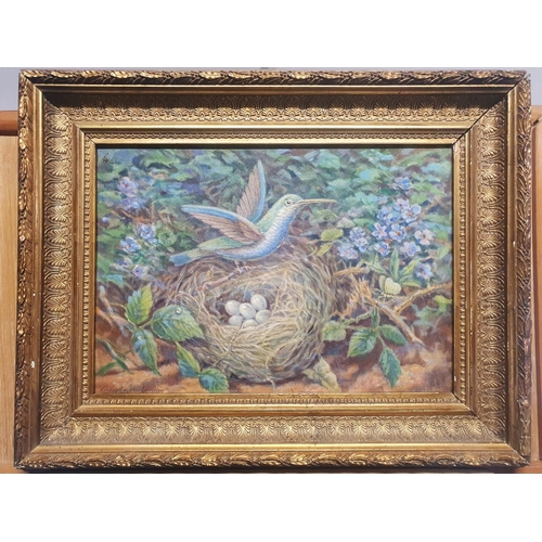 28 - A late 19th century Courtney Jaques oil on board depicting humming bird nest and fauna in a ornate g... 