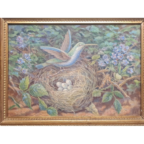 28 - A late 19th century Courtney Jaques oil on board depicting humming bird nest and fauna in a ornate g... 