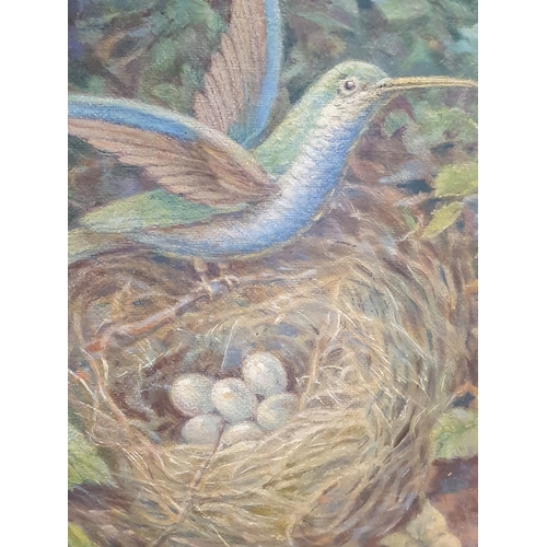 28 - A late 19th century Courtney Jaques oil on board depicting humming bird nest and fauna in a ornate g... 