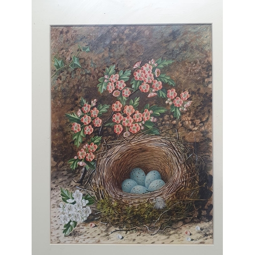 31 - A watercolour still life study of birds nest and fauna oil on board by J W Kettlewell in a ornate gi... 