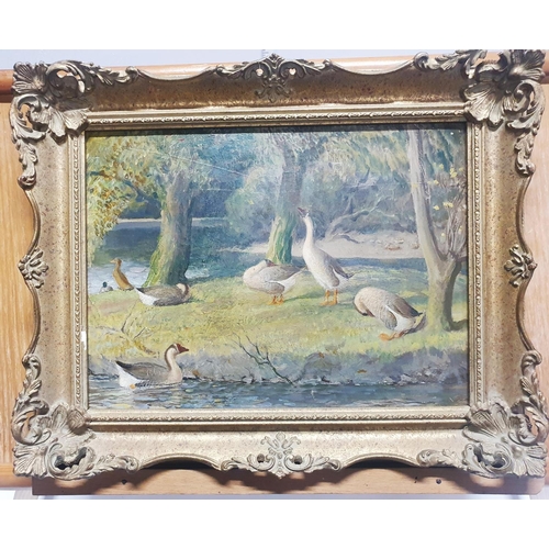 34 - Attributed to John Bulloch Souter (1890-1972) oil on board ducks by the river in a gilt frame, unsig... 