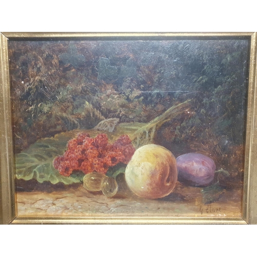 35 - A 19th century oil on board still life study of fruit signed G Clare in a gilt frame overall dimensi... 