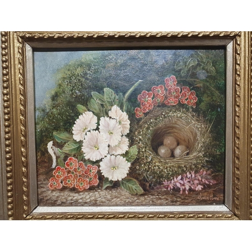 6 - A Oliver Clare (1853-1927) oil on board depicting still life study of fauna and birds nest signed to... 