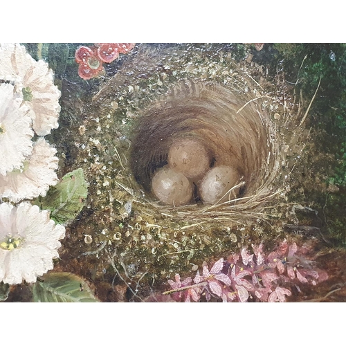 6 - A Oliver Clare (1853-1927) oil on board depicting still life study of fauna and birds nest signed to... 