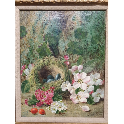 7 - A Oliver Clare (1853-1927) oil on canvas still life study of fauna and birds nest signed to lower ri... 