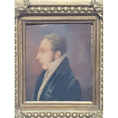 101 - A Georgian miniature portrait of a gentleman in a gilt frame overall dimensions 19x17cm