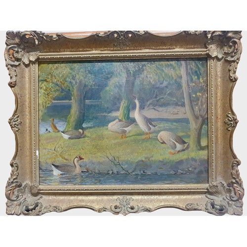 34 - Attributed to John Bulloch Souter (1890-1972) oil on board ducks by the river in a gilt frame, unsig... 