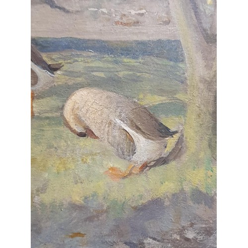 34 - Attributed to John Bulloch Souter (1890-1972) oil on board ducks by the river in a gilt frame, unsig... 