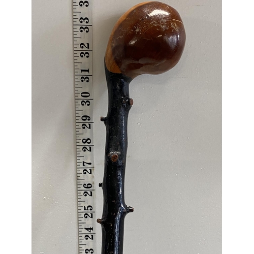 604 - A hand carved knobbly wood walking stick