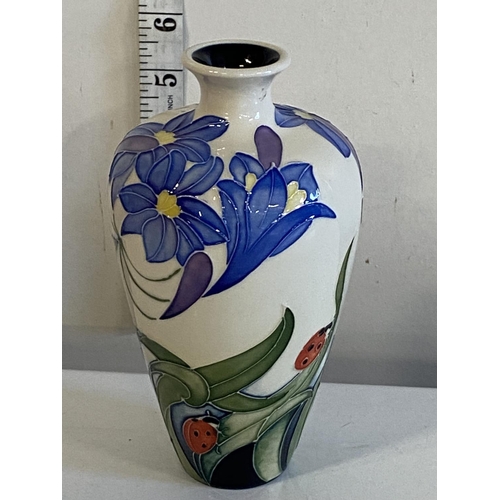 Lot 223       