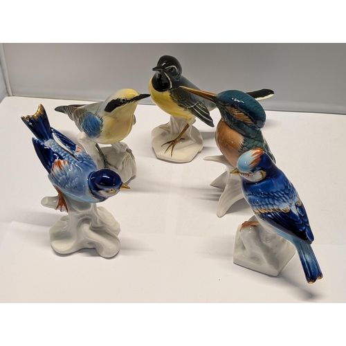 Lot 205       