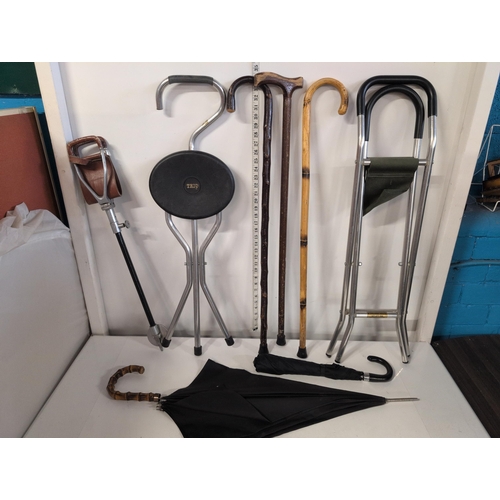103 - A Collection of Walking Sticks and Umbrellas, Shipping Unavailable