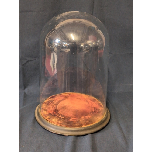 9 - Victorian English Glass Display Dome, 41 x 26cm, Shipping Unavailable