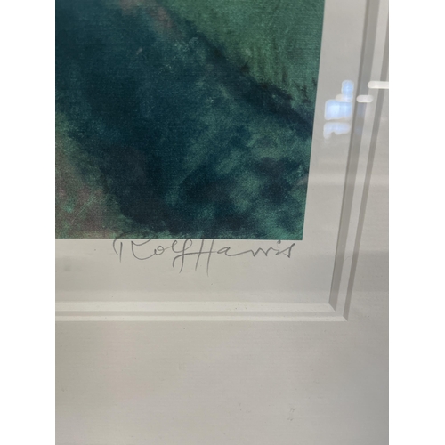 65 - Rolf Harris (1930-2023), Mirrored Image, Limited Edition Giclée Print. 95cm x 72cm. No shipping.