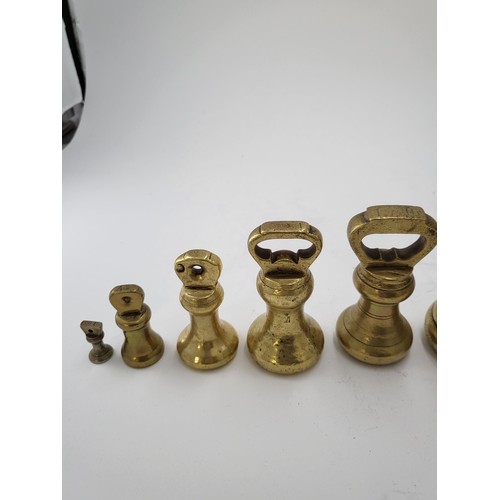 132 - Seven British Graduating Bell Weights Largest Measures 14cm Smallest Measure 3cm