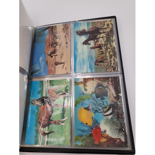 155 - Postcard Album Containing Different Eras All Pages Photographed