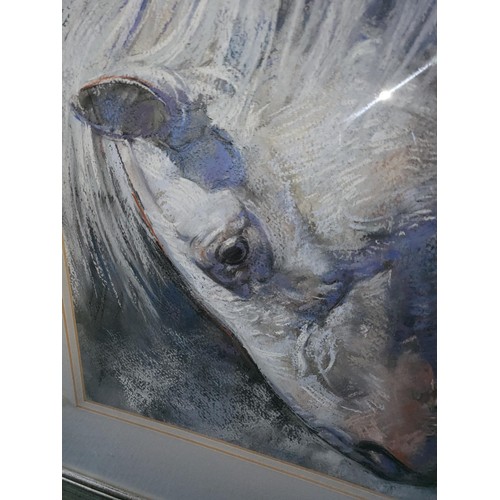 323 - Edward Tibbs Original Pastel Painting Depicting Horses Head Tibbs Was Born in Northumberland & a... 