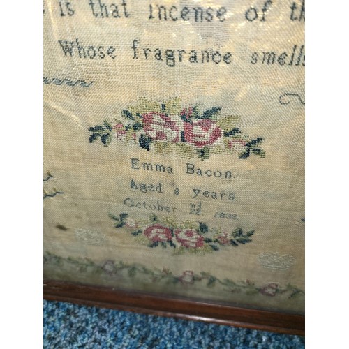 331 - Early Sampler Dated October 22nd 1838 Very Thin with Gold Backing Under Frame by Emma Bacon Aged 8 Y... 