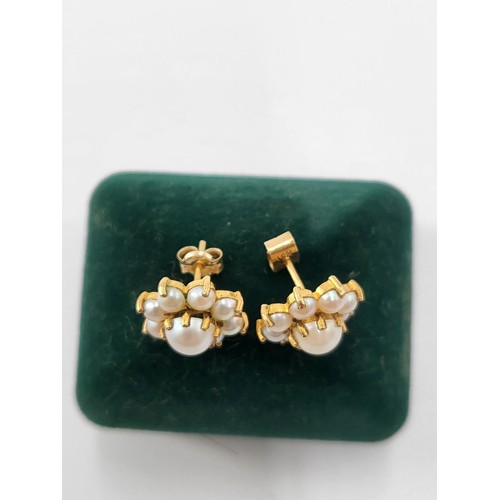 57 - 9ct Gold Pearl Cluster Earrings Hallmarked on Stem (Weighs 2.7g)