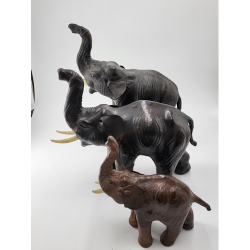 Lot 161       