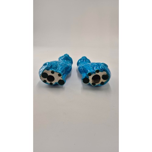 150 - Pair of Turquoise Porcelain Cat FiguresHeight 16cm x Width 10cm