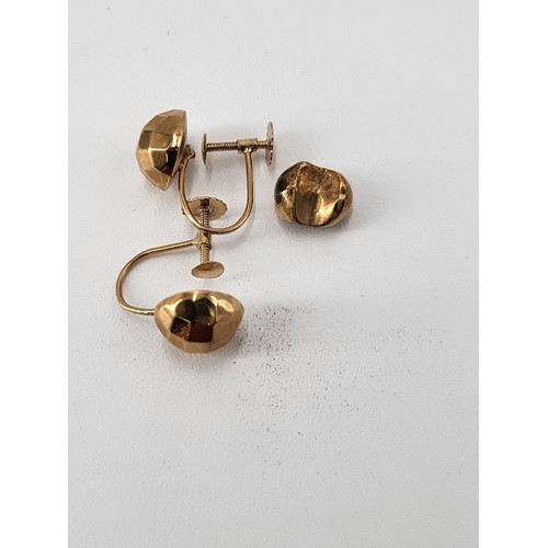 37 - Gold Tooth Along with Pair of 9ct Gold Earrings Weighs 2.6g Include Tooth Filling in Total Weight... 