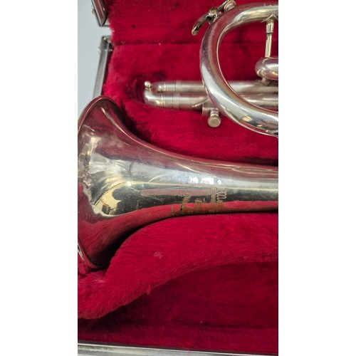 301 - Cornet in CaseHeight 33cm