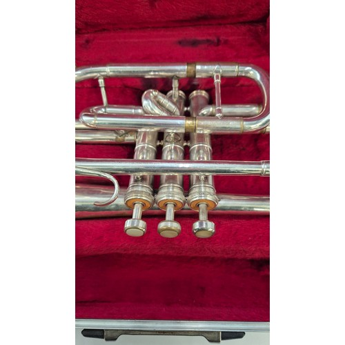 301 - Cornet in CaseHeight 33cm