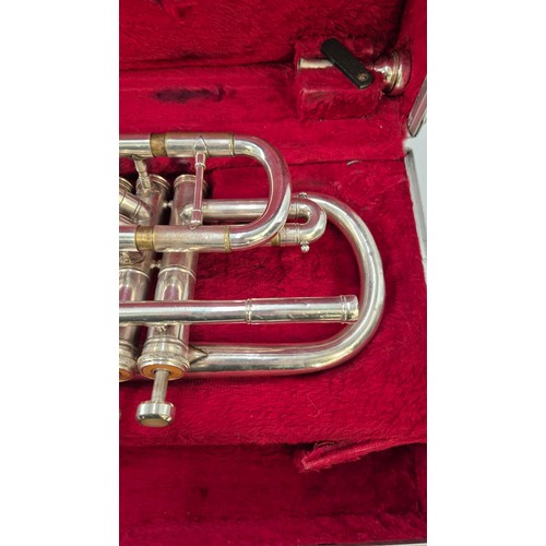 301 - Cornet in CaseHeight 33cm