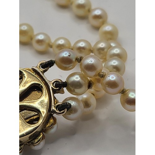 28 - Vintage Treble Row Cultured Pearls with 9ct Gold And Turquoise Clasp Weighs 80g