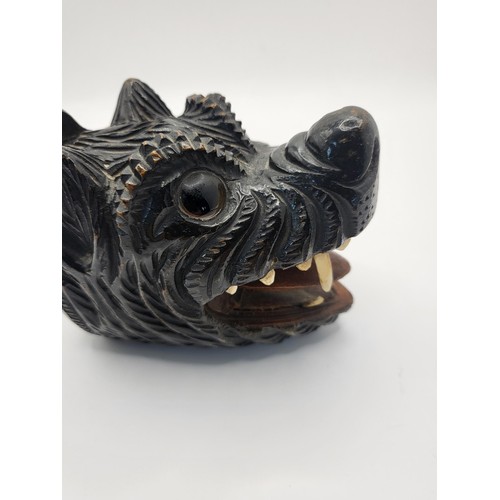 94 - Victorian Wooden Novelty Wolf Snuff Box with Bone Teeth & Glass Eyes Hinged Lid to Reverse Carve... 