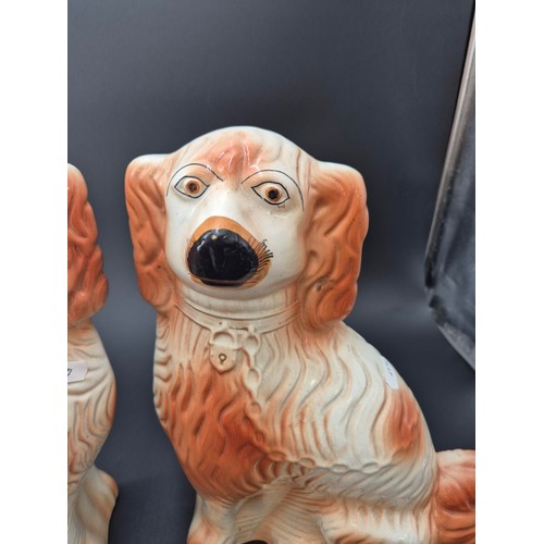 61 - Pair of Large Porcelain Wally Dogs 35cm Tall x 27cm Wide