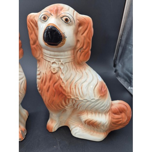 61 - Pair of Large Porcelain Wally Dogs 35cm Tall x 27cm Wide