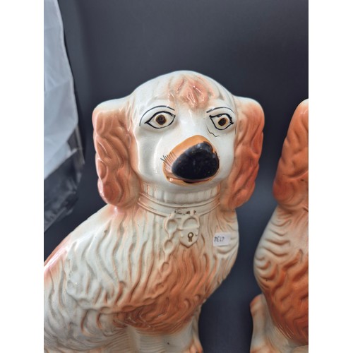 61 - Pair of Large Porcelain Wally Dogs 35cm Tall x 27cm Wide