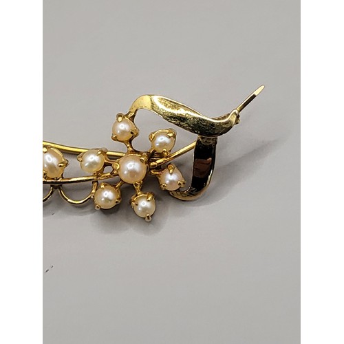 13 - High Carat Seed Pearl Brooch Measures 5.5cm Long With 14 Pearls Unhallmarked Weighs 4.8g