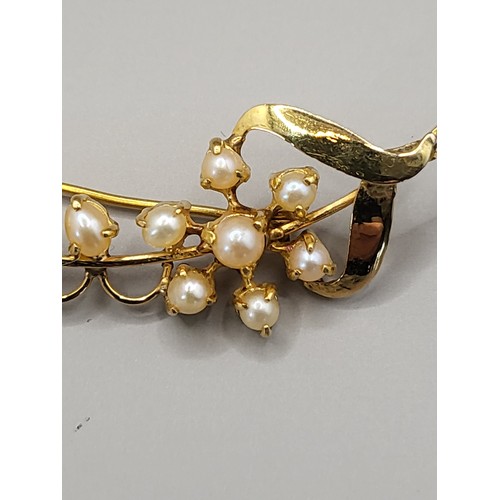 13 - High Carat Seed Pearl Brooch Measures 5.5cm Long With 14 Pearls Unhallmarked Weighs 4.8g