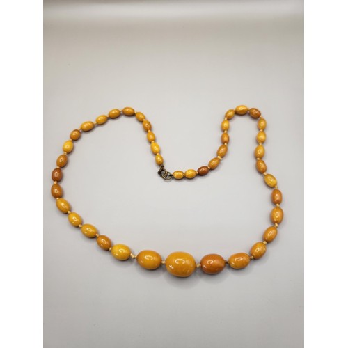 21 - Antique Graduating Amber Beads Weighs 36g Measure 66cm Long When Unclasped