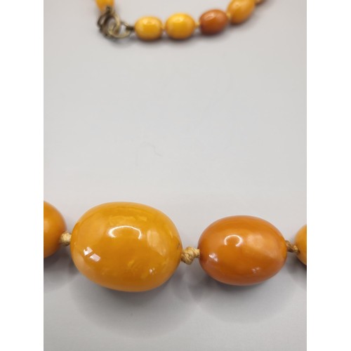 21 - Antique Graduating Amber Beads Weighs 36g Measure 66cm Long When Unclasped