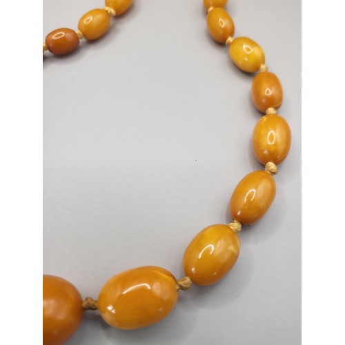 21 - Antique Graduating Amber Beads Weighs 36g Measure 66cm Long When Unclasped