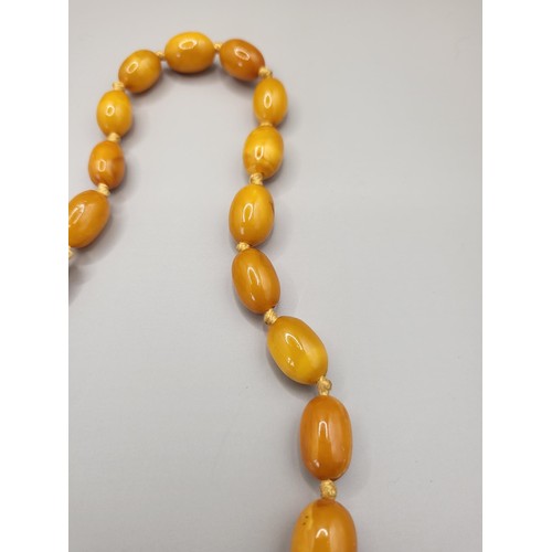 21 - Antique Graduating Amber Beads Weighs 36g Measure 66cm Long When Unclasped