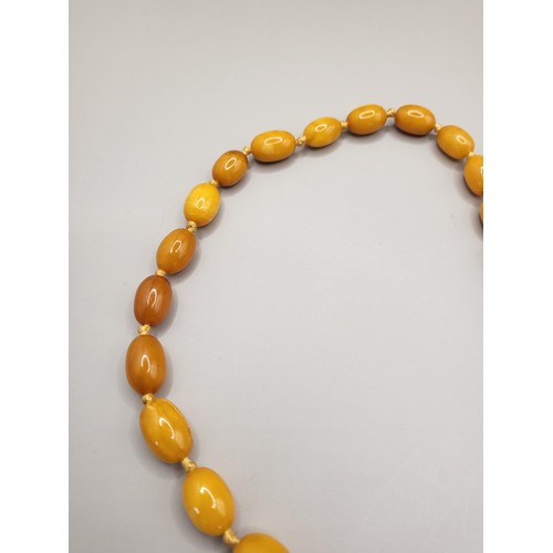 21 - Antique Graduating Amber Beads Weighs 36g Measure 66cm Long When Unclasped