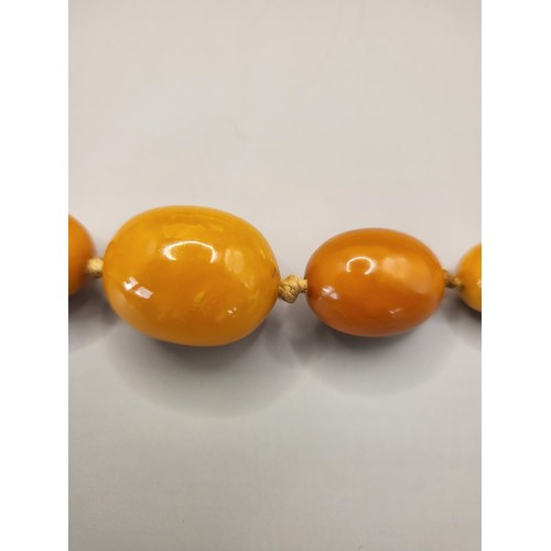 21 - Antique Graduating Amber Beads Weighs 36g Measure 66cm Long When Unclasped