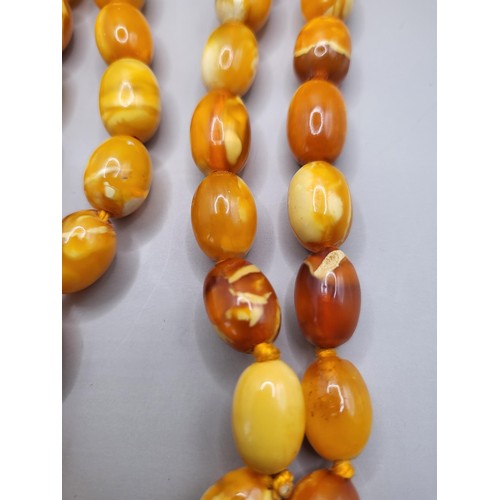 30 - Antique Graduating Amber Egg Yolk Bead Necklace Possible Gold Clasp Untested Weighs 52g Measure 80cm... 