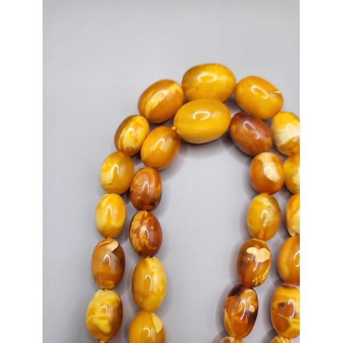 30 - Antique Graduating Amber Egg Yolk Bead Necklace Possible Gold Clasp Untested Weighs 52g Measure 80cm... 