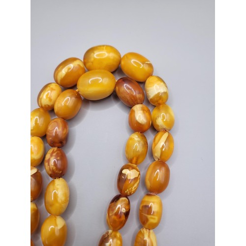 30 - Antique Graduating Amber Egg Yolk Bead Necklace Possible Gold Clasp Untested Weighs 52g Measure 80cm... 