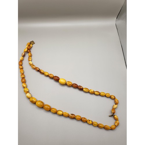 30 - Antique Graduating Amber Egg Yolk Bead Necklace Possible Gold Clasp Untested Weighs 52g Measure 80cm... 