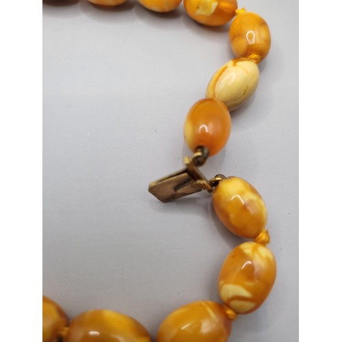 30 - Antique Graduating Amber Egg Yolk Bead Necklace Possible Gold Clasp Untested Weighs 52g Measure 80cm... 