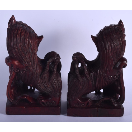 1031 - A LARGE PAIR OF LATE 19TH CENTURY CHINESE CARVED ROOT WOOD BUDDHISTIC DOGS modelled upon square plin... 