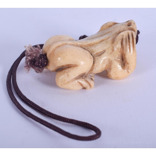 1236 - A 19TH CENTURY JAPANESE MEIJI PERIOD CARVED BONE NETSUKE TOGGLE modelled as a toad. 3.5 cm x 1.5 cm.